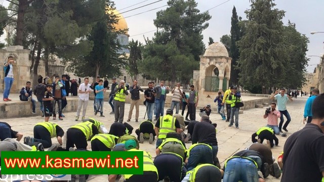  فيديو: رغم عراقيل الاحتلال المسيرة من حيفا للاقصى تصل الاقصى والمشاركون يسجدون شكرا لله  